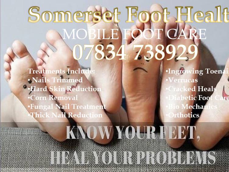 Sponsors Taunton Deane Bowls Club